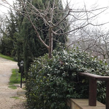 Agriturismo Le Valli Hotel Acuto ภายนอก รูปภาพ