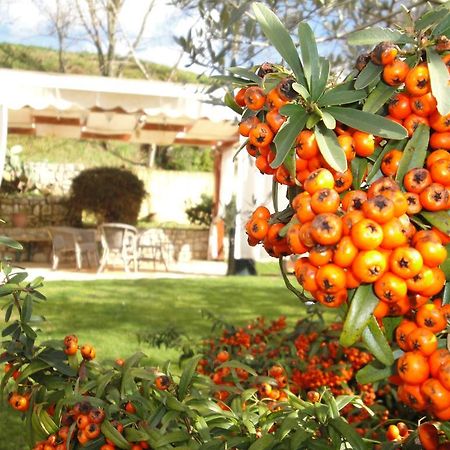 Agriturismo Le Valli Hotel Acuto ภายนอก รูปภาพ