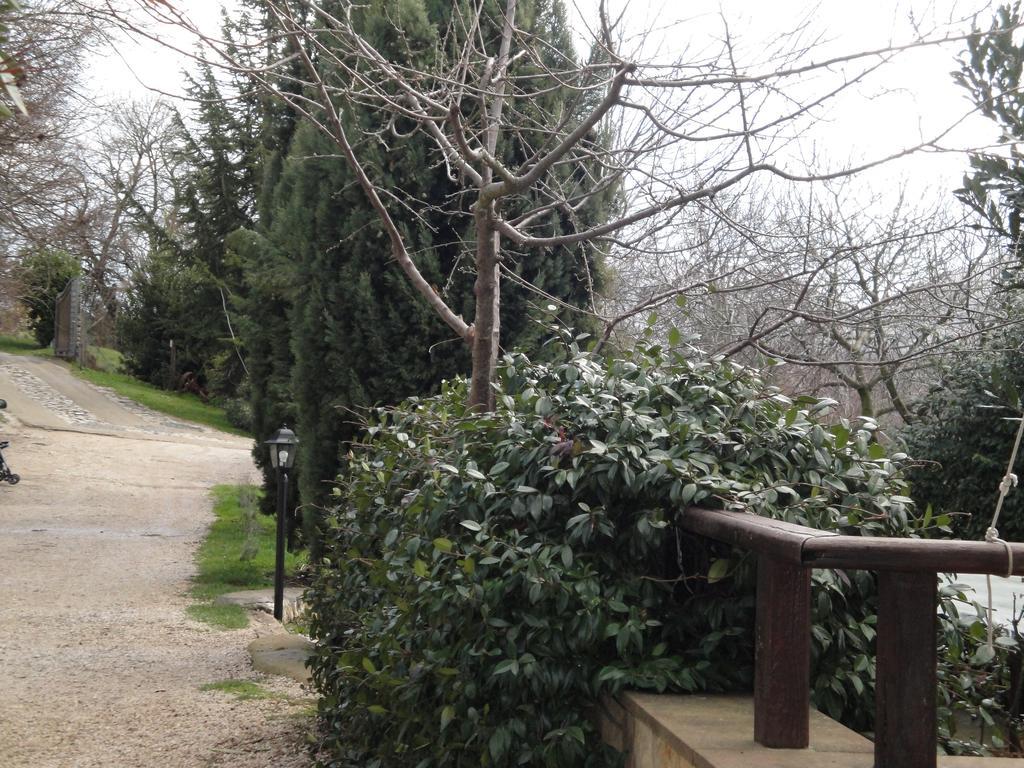 Agriturismo Le Valli Hotel Acuto ภายนอก รูปภาพ